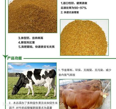 牛飼料 綠斯曼 4%肉牛預混料 催肥增重預混料 肉牛飼料