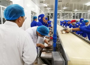 強強聯合,通威食品 華西一區試水打造訂單漁業