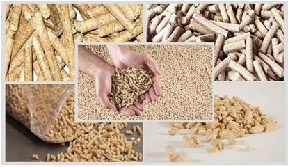 中國農業科學院飼料研究所研究員蔡輝益:中國飼料工業未來發展趨勢