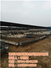 健康養殖微生態飼料廠家圖片/健康養殖微生態飼料廠家樣板圖