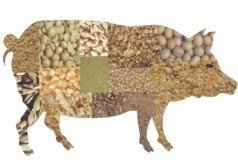 濟寧口碑好的豬飼料·廠家直銷|代理豬飼料價格圖片|濟寧口碑好的豬飼料·廠家直銷|代理豬飼料價格產品圖片由鄒城市悅源工貿公司生產提供-